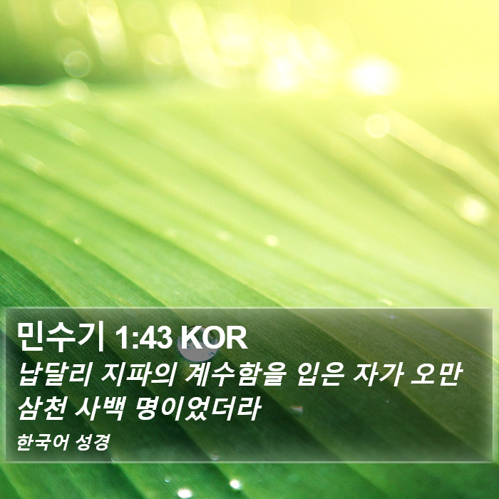 민수기 1:43 KOR Bible Study