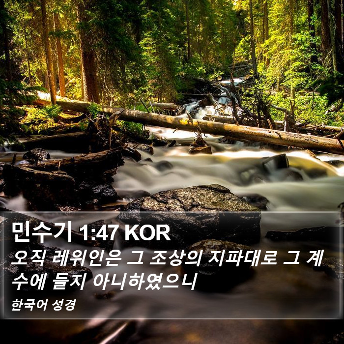 민수기 1:47 KOR Bible Study