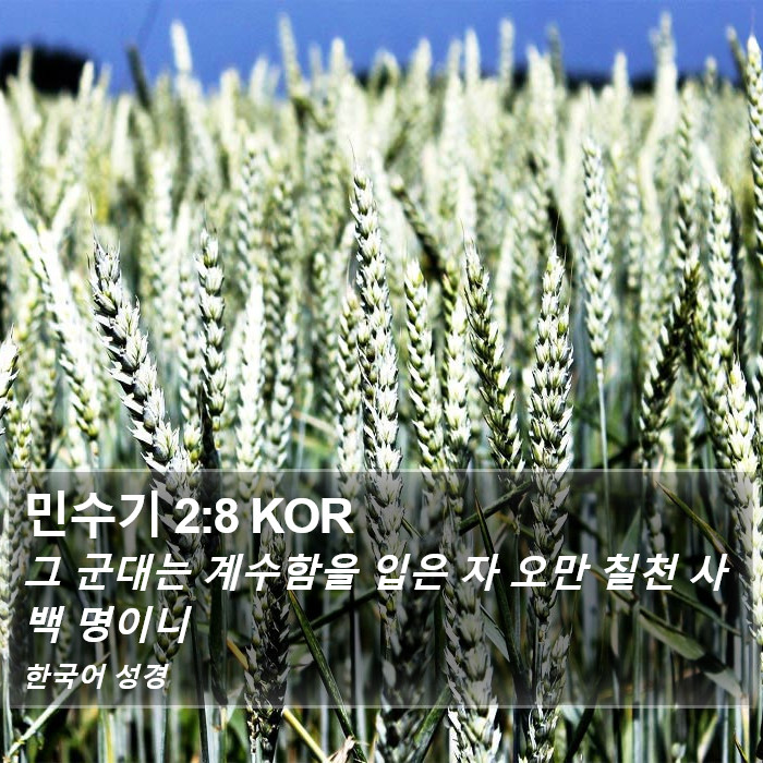 민수기 2:8 KOR Bible Study