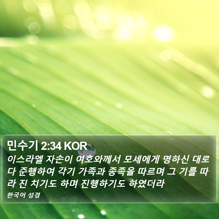 민수기 2:34 KOR Bible Study