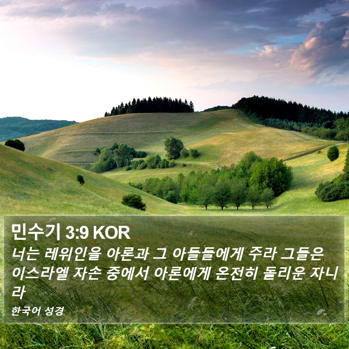 민수기 3:9 KOR Bible Study