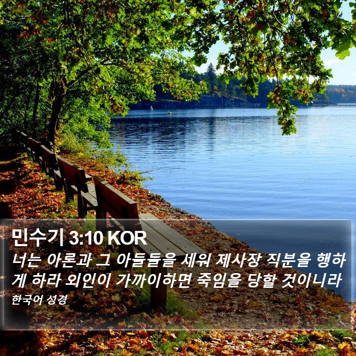 민수기 3:10 KOR Bible Study