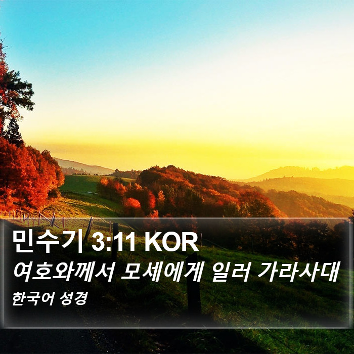 민수기 3:11 KOR Bible Study