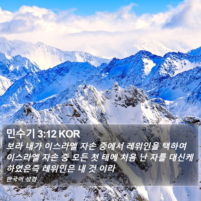 민수기 3:12 KOR Bible Study