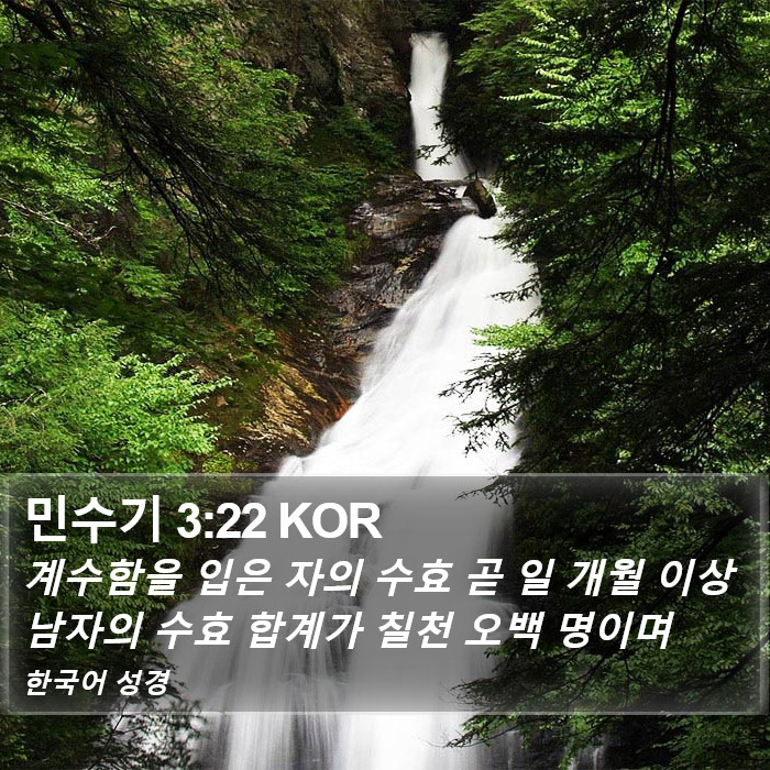 민수기 3:22 KOR Bible Study