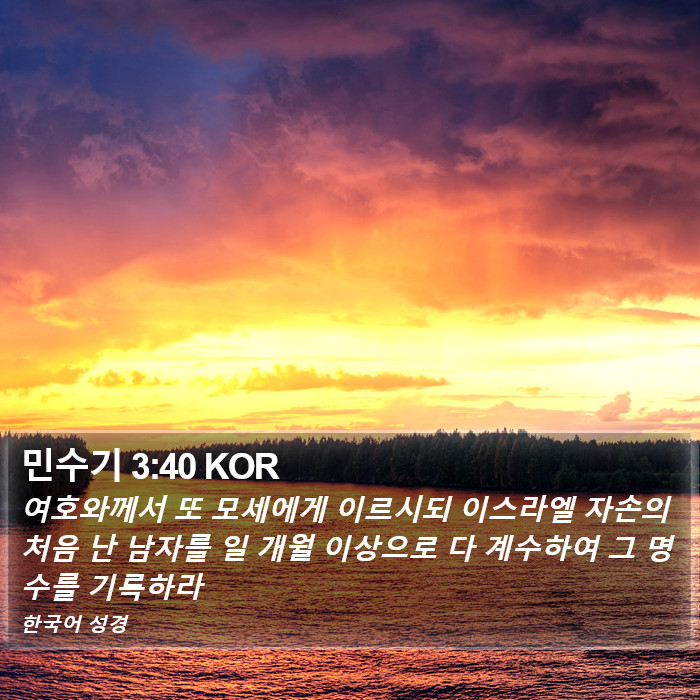 민수기 3:40 KOR Bible Study