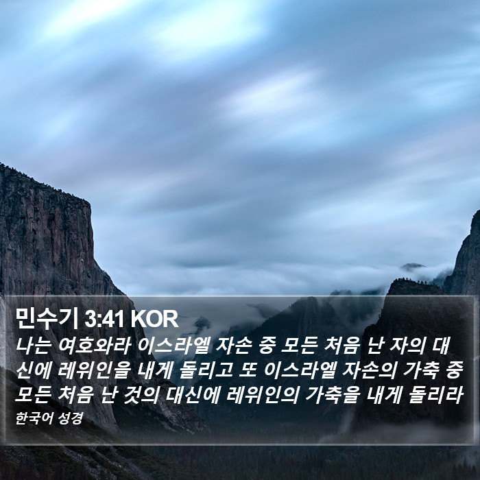 민수기 3:41 KOR Bible Study