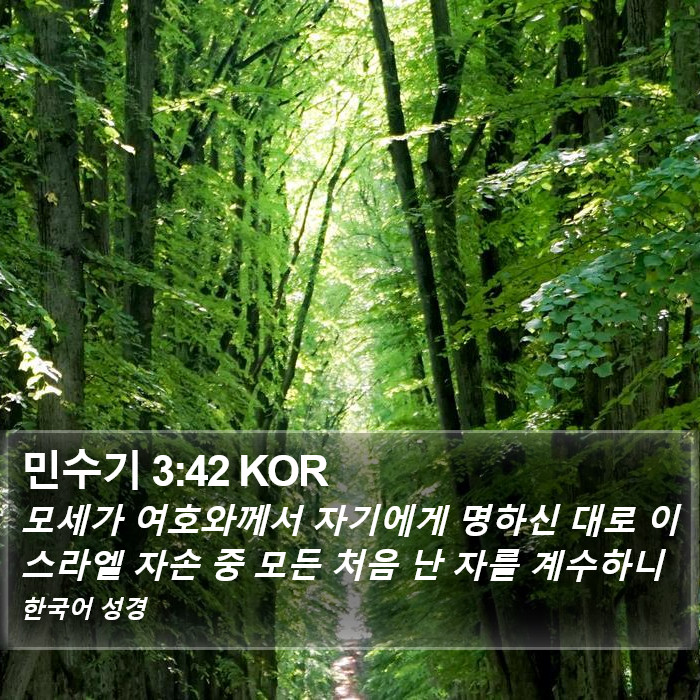 민수기 3:42 KOR Bible Study