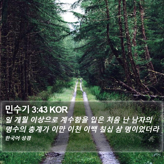 민수기 3:43 KOR Bible Study