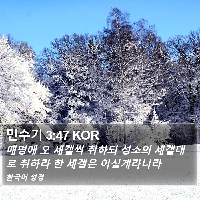 민수기 3:47 KOR Bible Study