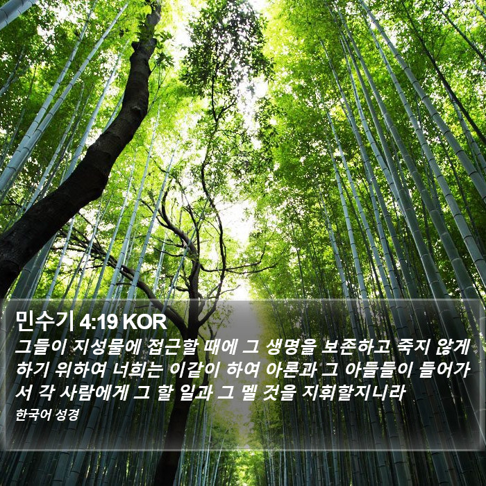 민수기 4:19 KOR Bible Study