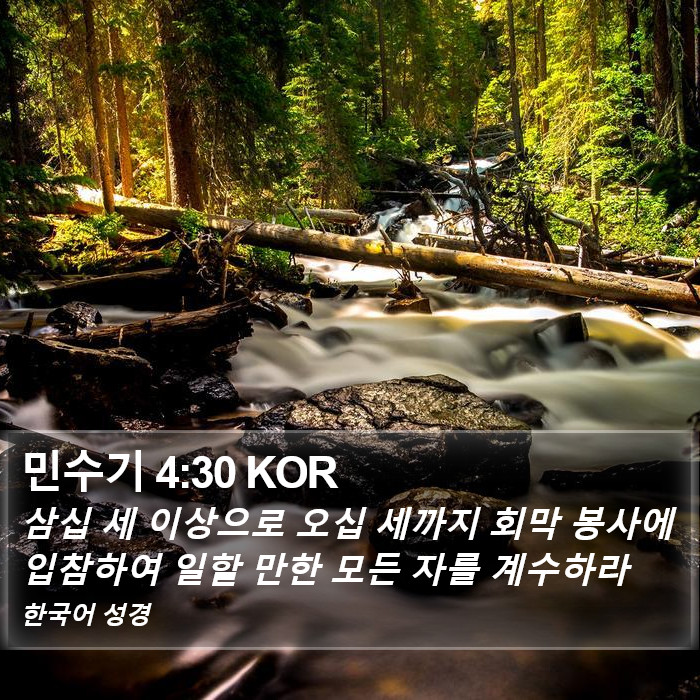 민수기 4:30 KOR Bible Study