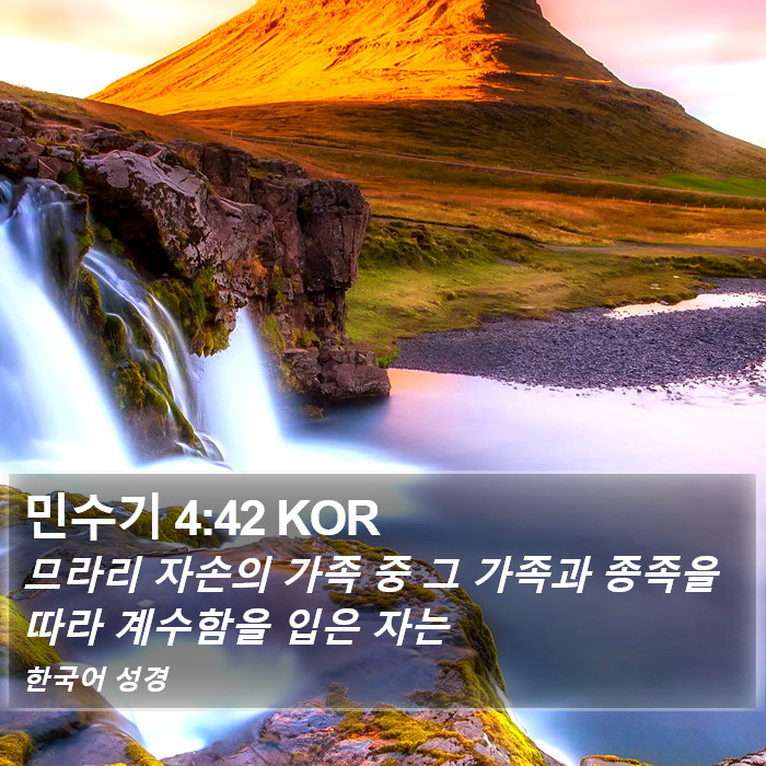 민수기 4:42 KOR Bible Study