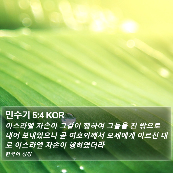 민수기 5:4 KOR Bible Study