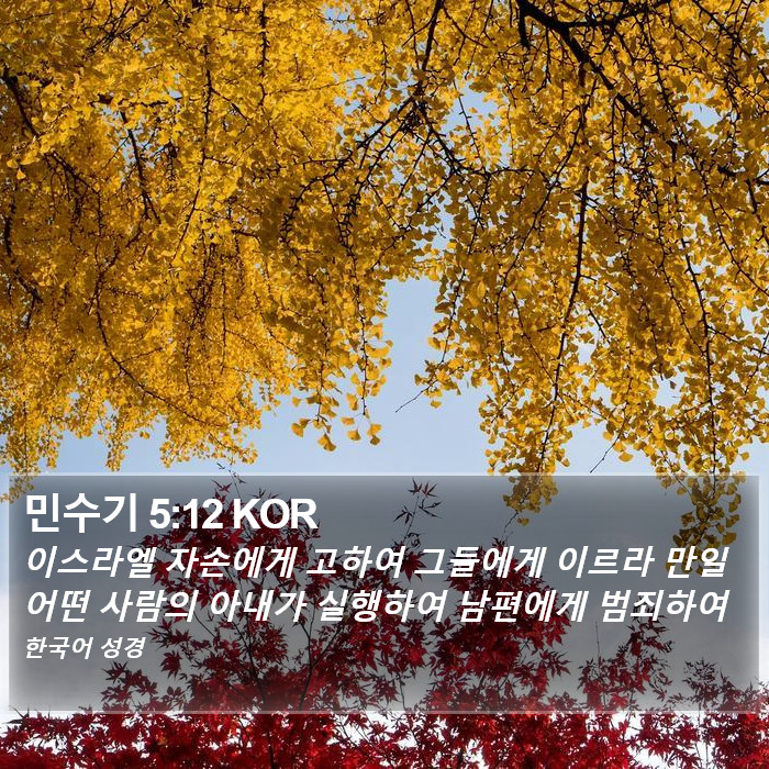 민수기 5:12 KOR Bible Study