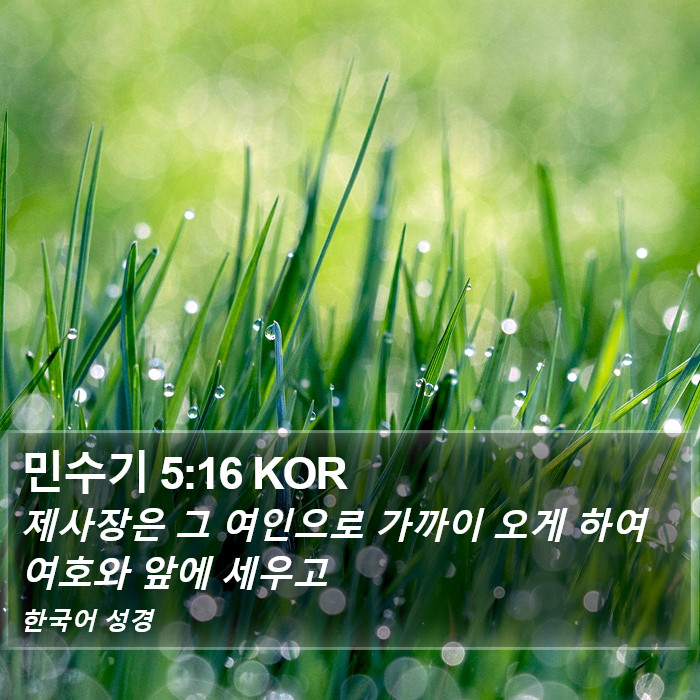 민수기 5:16 KOR Bible Study