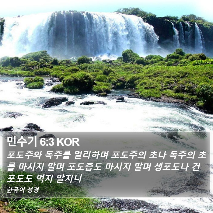 민수기 6:3 KOR Bible Study