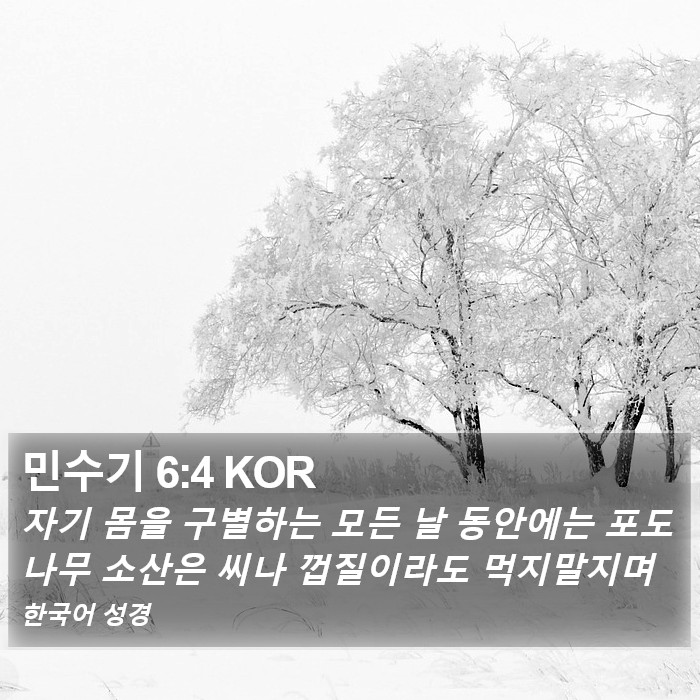 민수기 6:4 KOR Bible Study