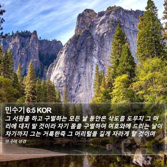 민수기 6:5 KOR Bible Study