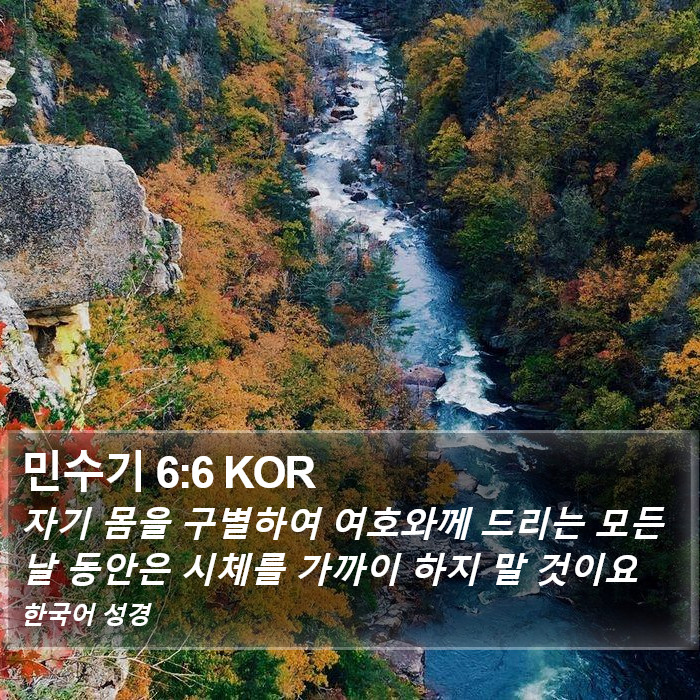 민수기 6:6 KOR Bible Study