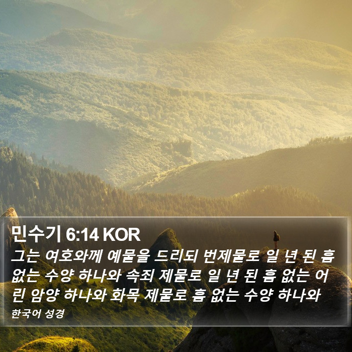 민수기 6:14 KOR Bible Study