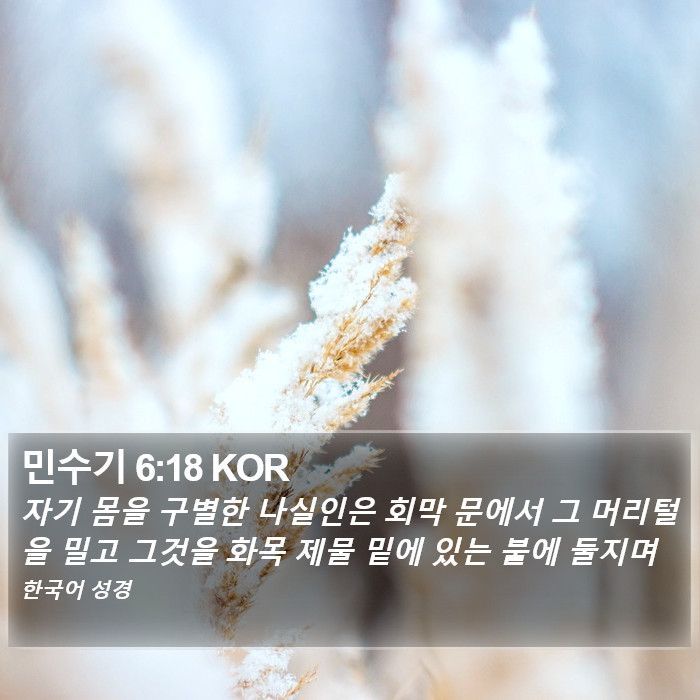 민수기 6:18 KOR Bible Study