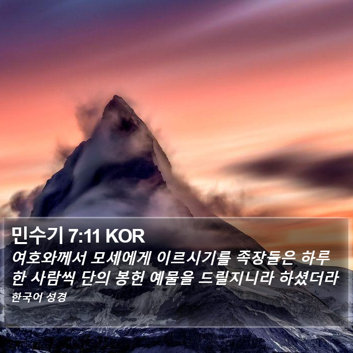 민수기 7:11 KOR Bible Study