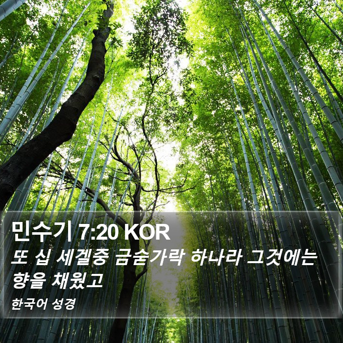 민수기 7:20 KOR Bible Study