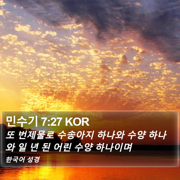 민수기 7:27 KOR Bible Study