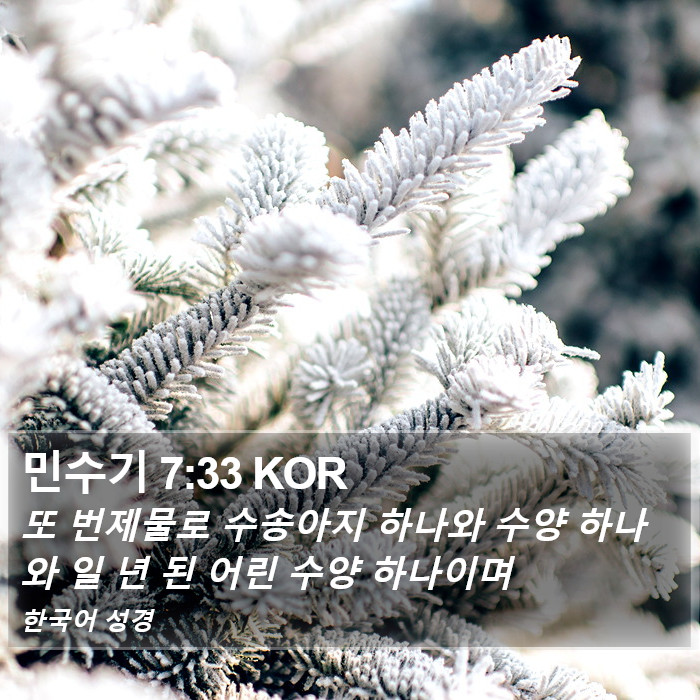 민수기 7:33 KOR Bible Study