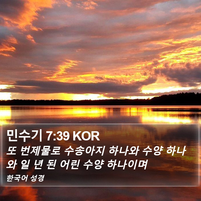 민수기 7:39 KOR Bible Study