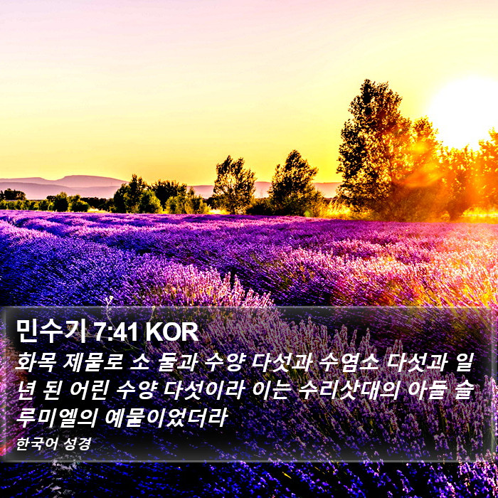 민수기 7:41 KOR Bible Study