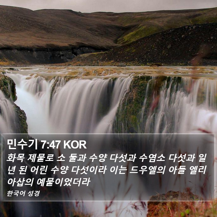 민수기 7:47 KOR Bible Study