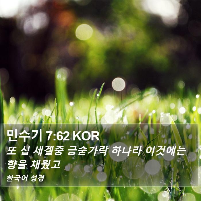 민수기 7:62 KOR Bible Study