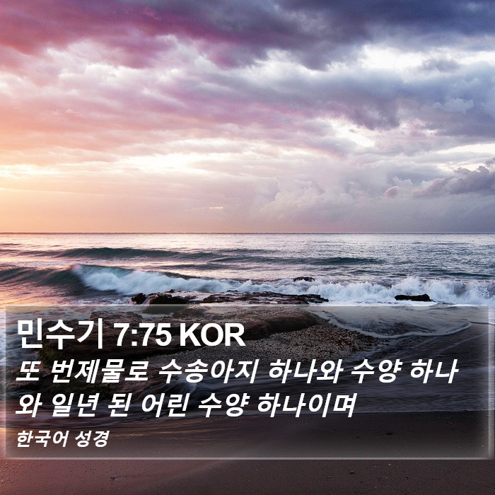 민수기 7:75 KOR Bible Study