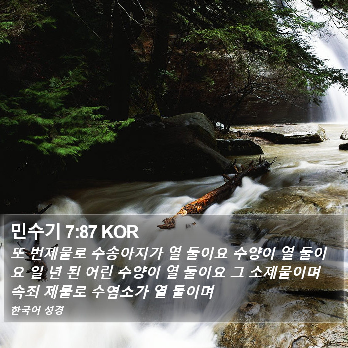 민수기 7:87 KOR Bible Study