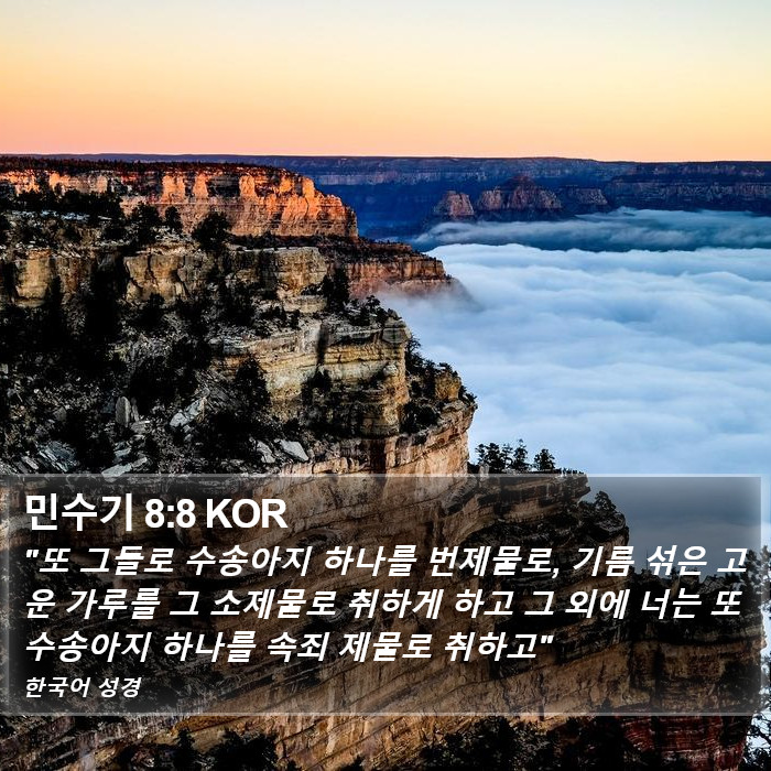 민수기 8:8 KOR Bible Study