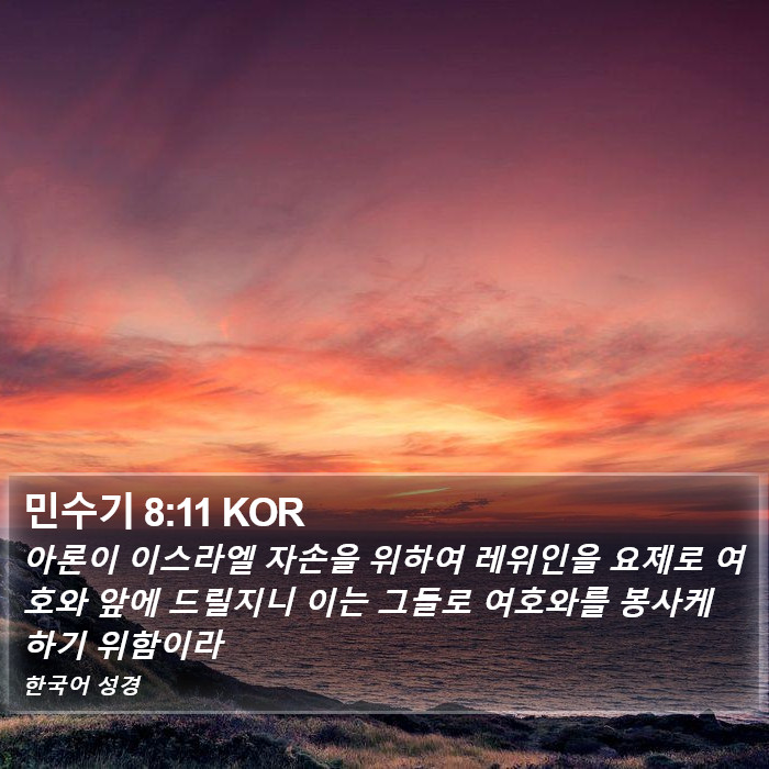 민수기 8:11 KOR Bible Study