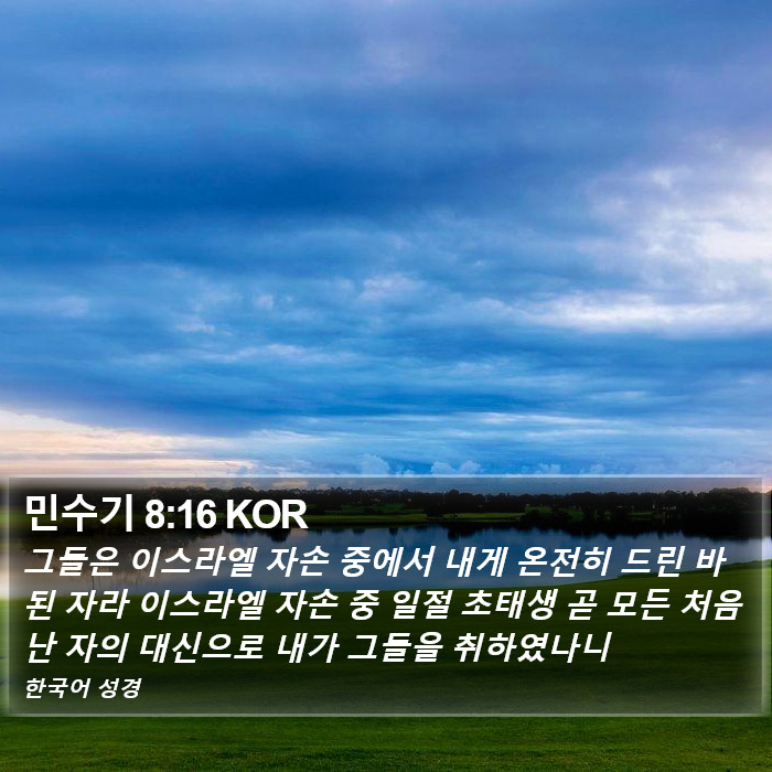 민수기 8:16 KOR Bible Study