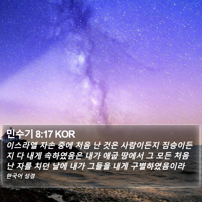 민수기 8:17 KOR Bible Study