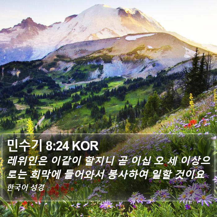 민수기 8:24 KOR Bible Study