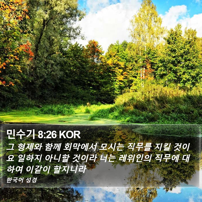 민수기 8:26 KOR Bible Study