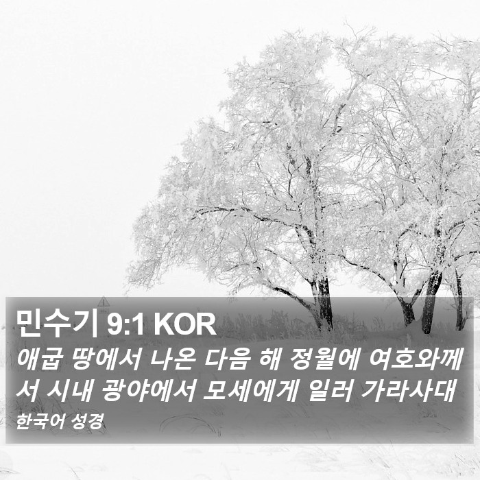 민수기 9:1 KOR Bible Study