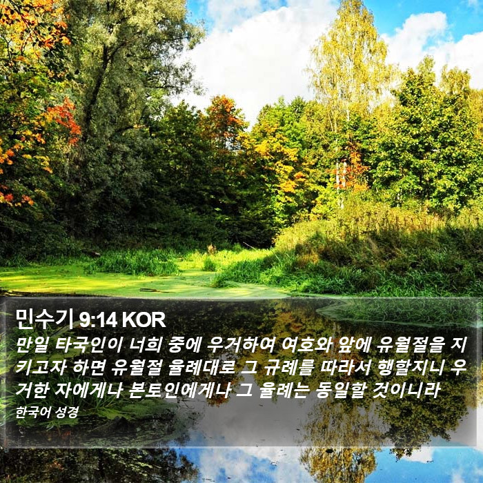 민수기 9:14 KOR Bible Study