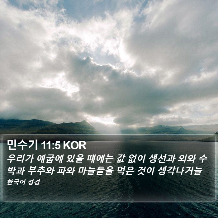 민수기 11:5 KOR Bible Study