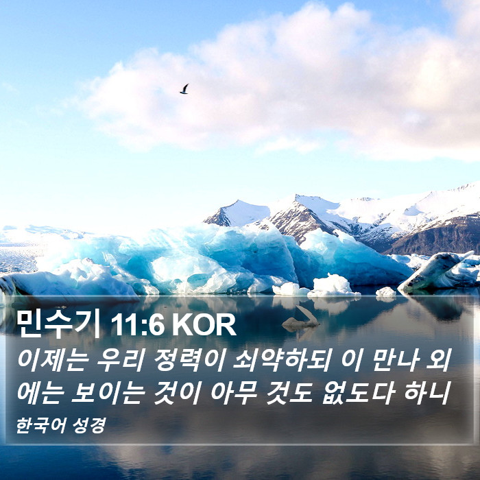 민수기 11:6 KOR Bible Study