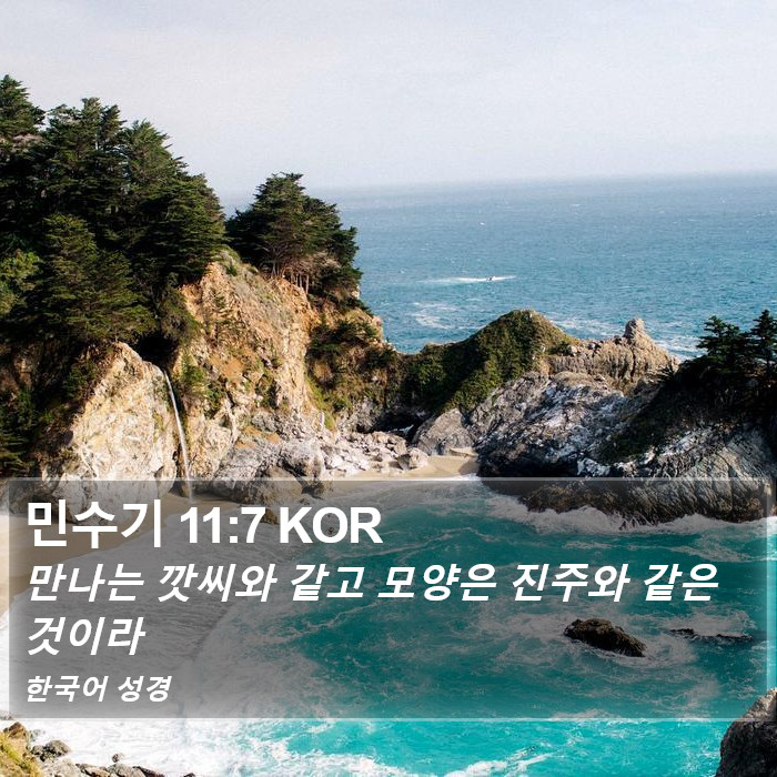 민수기 11:7 KOR Bible Study