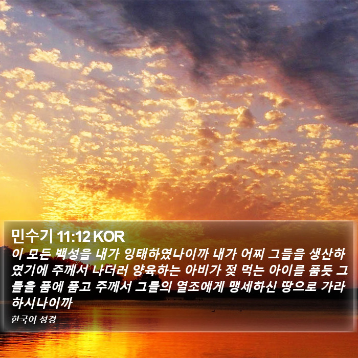 민수기 11:12 KOR Bible Study