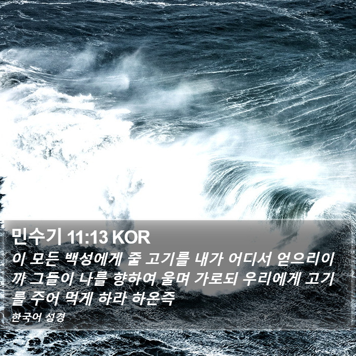 민수기 11:13 KOR Bible Study