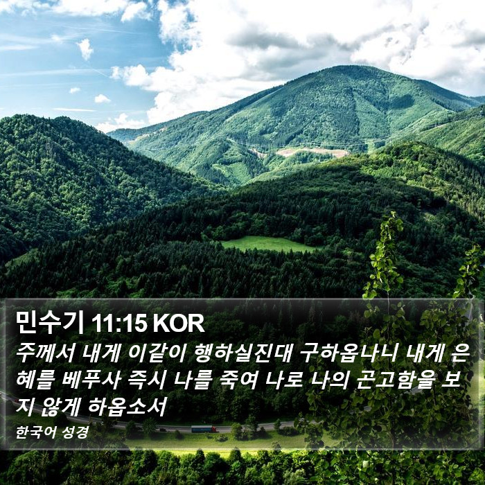 민수기 11:15 KOR Bible Study